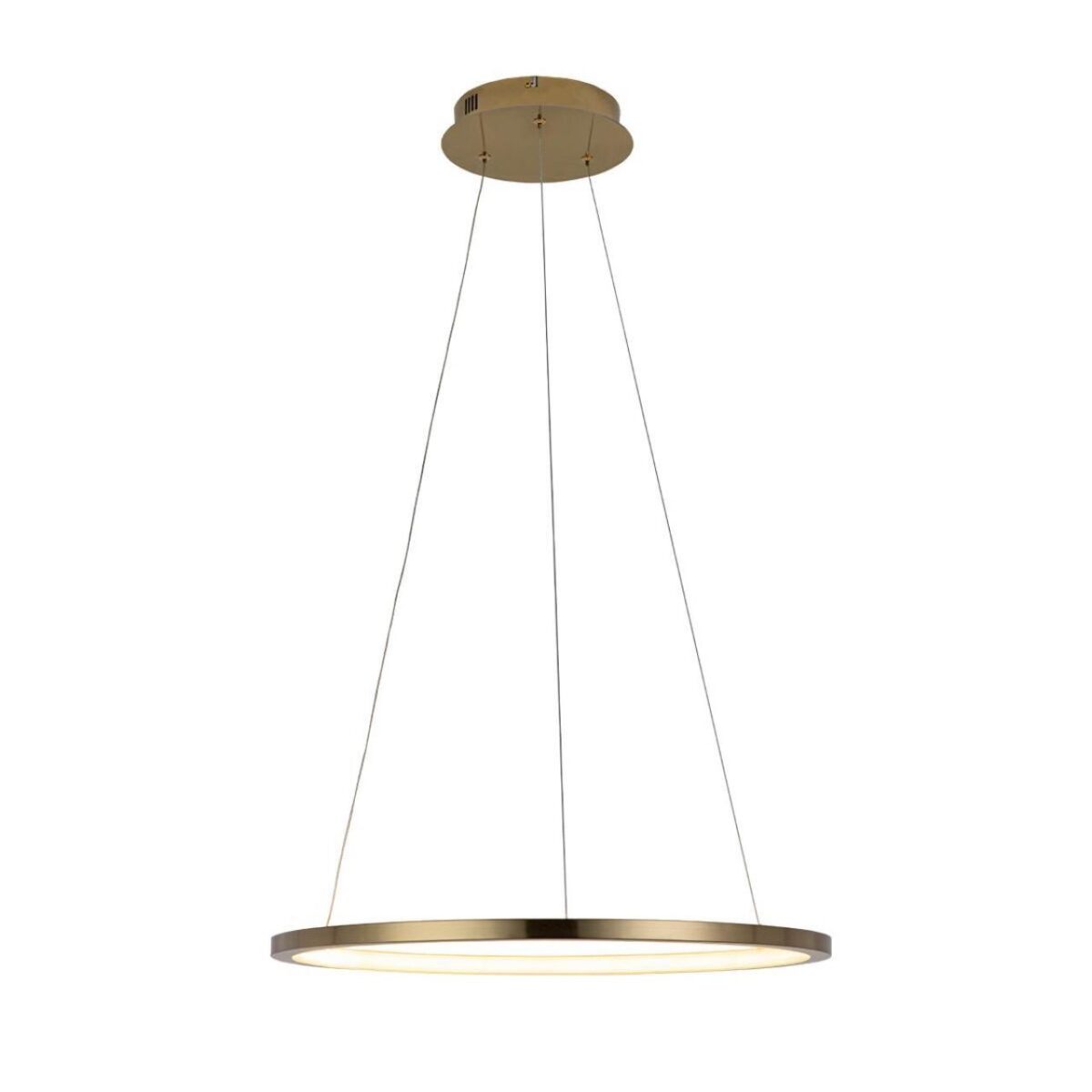 10014M Подвесной светильник LOFT IT Ring — изображение 3