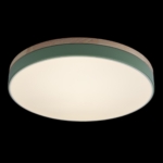 10001/36 Green Потолочный светильник LOFT IT Axel — изображение 3