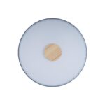 10003/24 Grey Потолочный светильник LOFT IT Axel — изображение 3