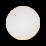 10001/36 Yellow Потолочный светильник LOFT IT Axel — изображение 4