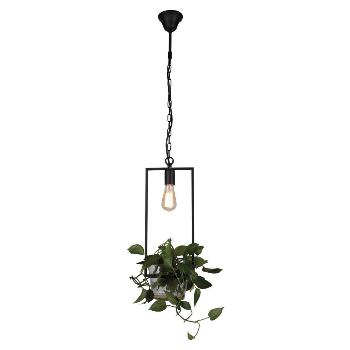 1975-1P, подвес, D205xH600/1600, 1xE27x60W, excluded 1975-1P, подвес, D205xH600/1600, 1xE27x60W, excluded — изображение 1