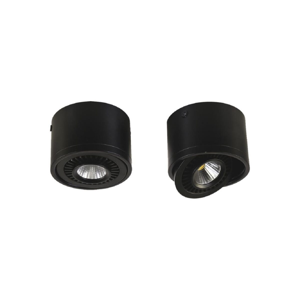 1779-1C, потолочный светильник, D112xH85, 1xLEDx12W, AC:100-240V, 960LM, RA>80, IP21, 960LM, 4000K, included — изображение 1