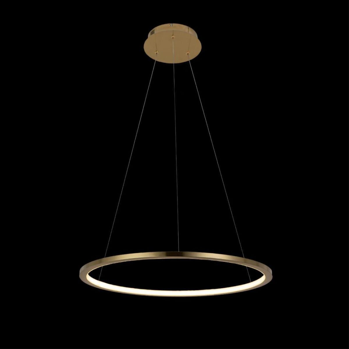 10014M Подвесной светильник LOFT IT Ring — изображение 2