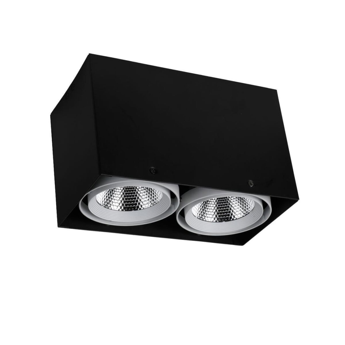 1987-2U, потолочный светильник, L265xW140xH160, COB 2xLEDx12W, RA>80, BEAM ANGLE:24°, 1920LM, 4000K, included — изображение 1