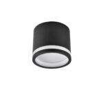 4212-1C, потолочный светильник, D85xH75, 1xGX53LEDx9W, IP20, excluded — изображение 2