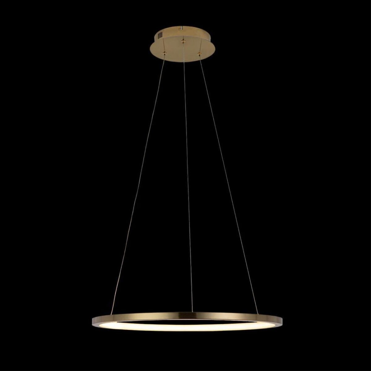 10014M Подвесной светильник LOFT IT Ring — изображение 4