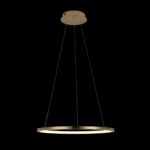 10014M Подвесной светильник LOFT IT Ring — изображение 4