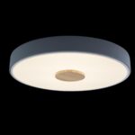 10003/24 Grey Потолочный светильник LOFT IT Axel — изображение 2