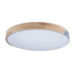 10004/36 Grey Потолочный светильник LOFT IT Axel — изображение 3