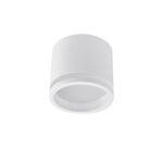 4213-1C, потолочный светильник, D85xH75, 1xGX53LEDx9W, IP20, excluded — изображение 2