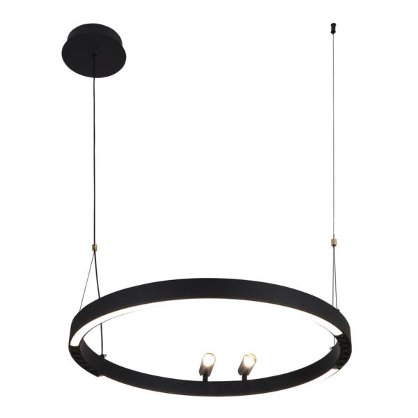 4474-1P, подвесная люстра, D600xH1000/1800, LEDx58W + 2xLEDx3W, 1860LM, 3000-6500K, included, remote control