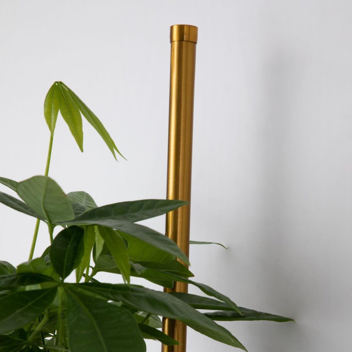 4050-2W, настенный светильник, D210xW120xH800, LEDx12W, 3780LM, 3000K, included — изображение 3