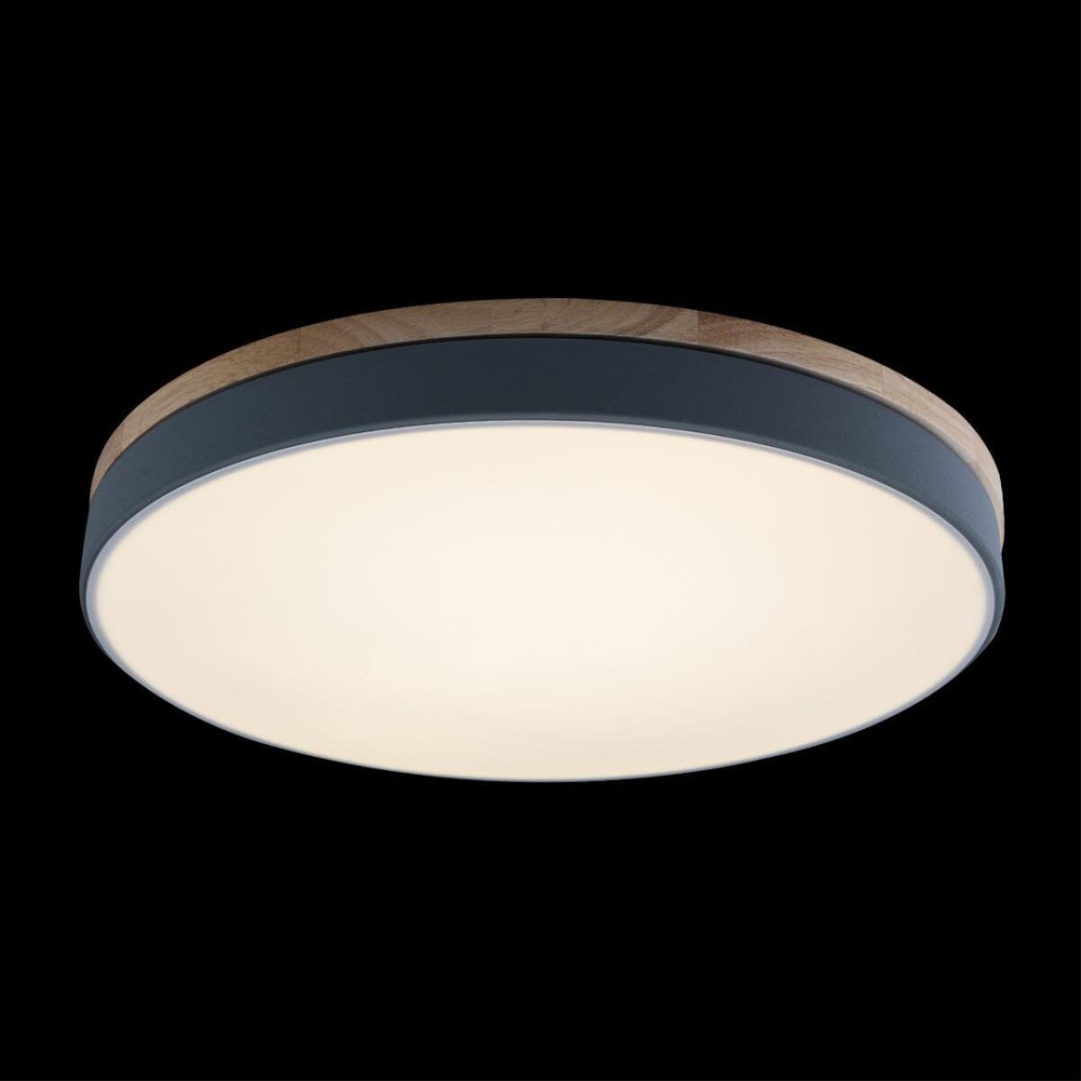 10001/36 Grey Потолочный светильник LOFT IT Axel — изображение 3