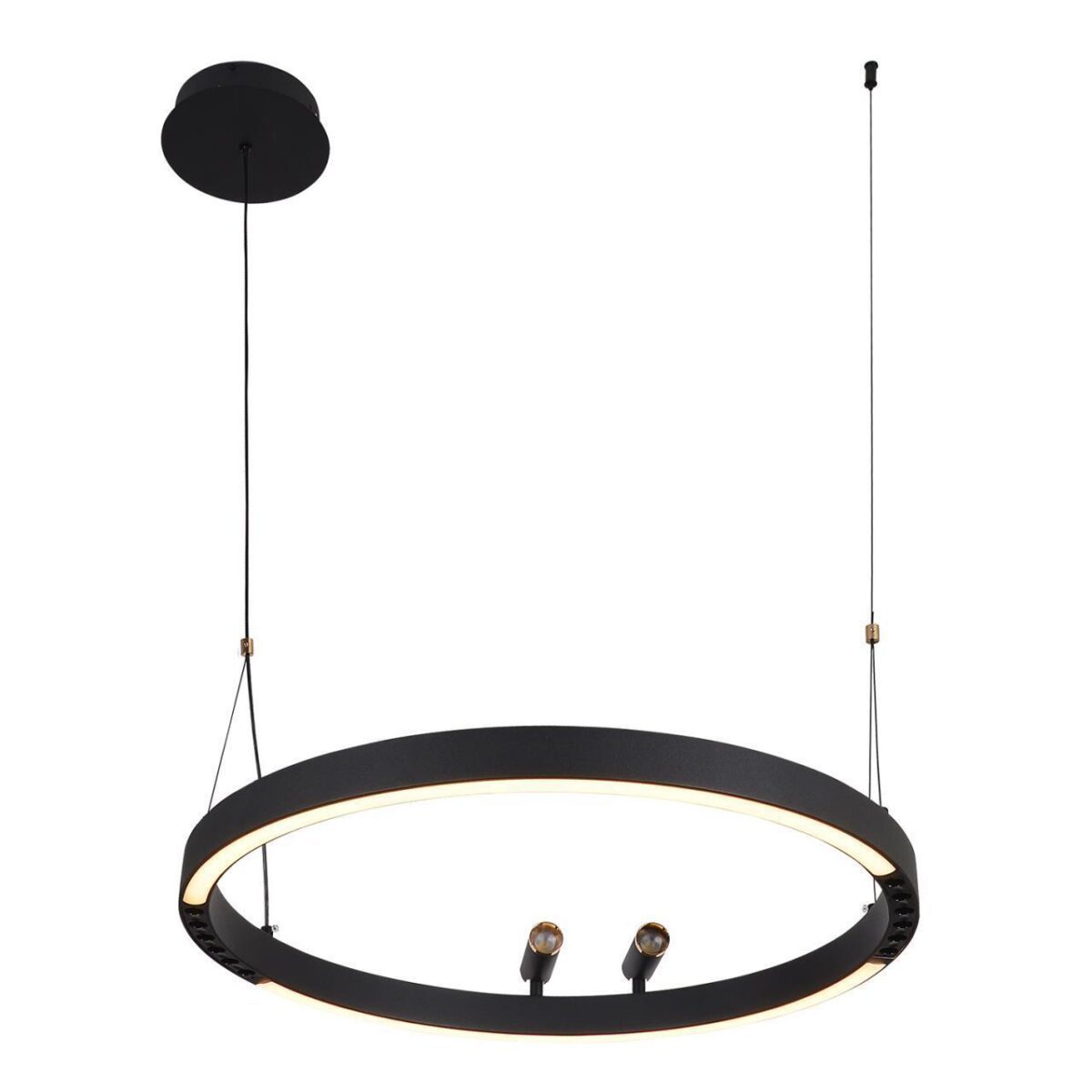 4474-1P, подвесная люстра, D600xH1000/1800, LEDx58W + 2xLEDx3W, 1860LM, 3000-6500K, included, remote control — изображение 5