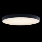 10002/48 Black Потолочный светильник LOFT IT Axel — изображение 2