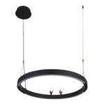 4474-1P, подвесная люстра, D600xH1000/1800, LEDx58W + 2xLEDx3W, 1860LM, 3000-6500K, included, remote control — изображение 2