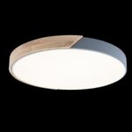 10004/36 Grey Потолочный светильник LOFT IT Axel — изображение 2