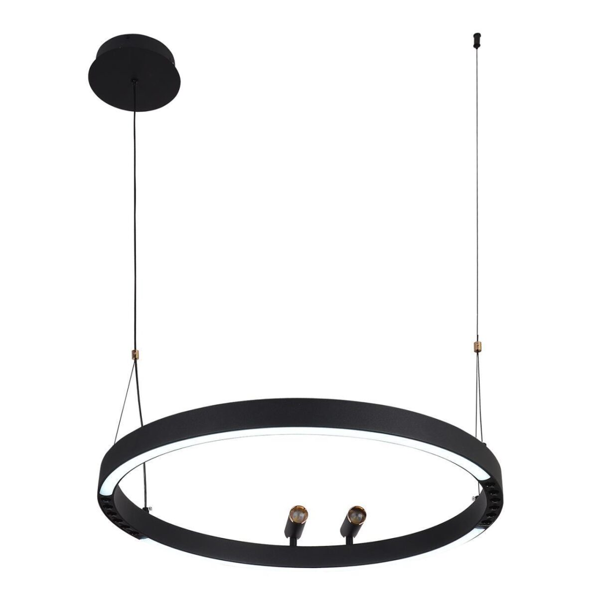 4474-1P, подвесная люстра, D600xH1000/1800, LEDx58W + 2xLEDx3W, 1860LM, 3000-6500K, included, remote control — изображение 4