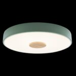 10003/24 Green Потолочный светильник LOFT IT Axel — изображение 2