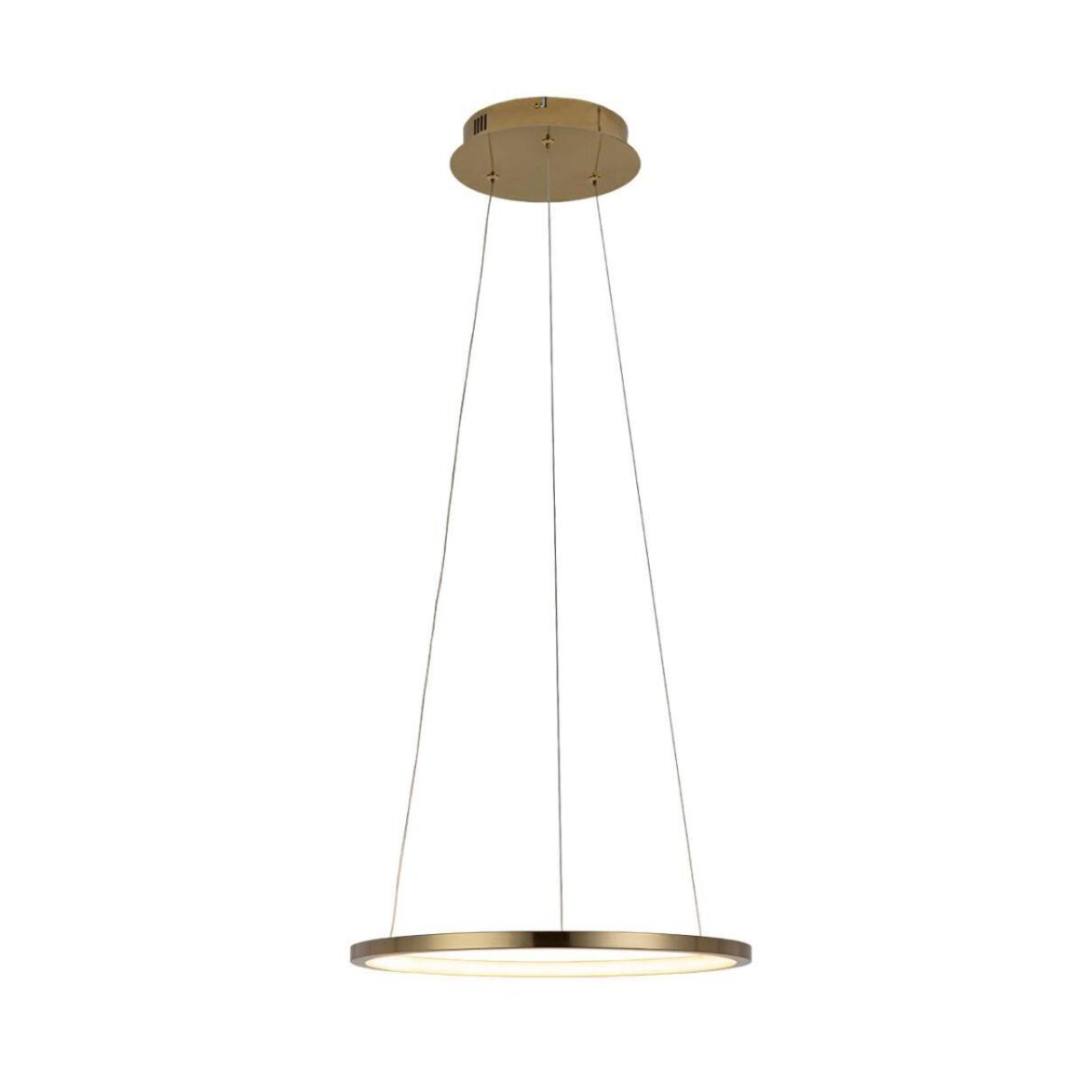 10014S Подвесной светильник LOFT IT Ring — изображение 3