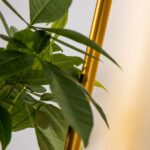 4050-1W, настенный светильник, D210xW120xH600, LEDx8W, 2700LM, 3000K, included — изображение 4