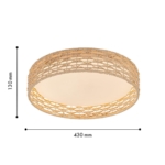 4749-4C, Потолочный светильник, D430xH100, LEDx25W, 1300LM, 3000/4000/6000K, included, remote control — изображение 3