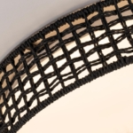 4750-4C, Потолочный светильник, D430xH100, LEDx25W, 1300LM, 3000/4000/6000K, included, remote control — изображение 6