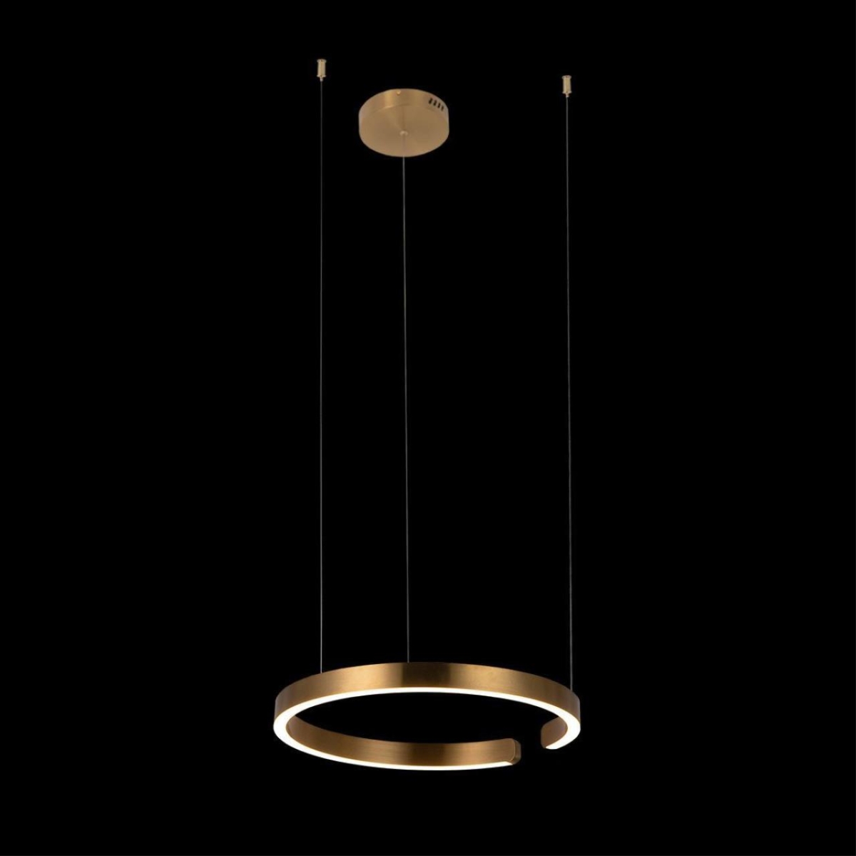 10013M Подвесной светильник LOFT IT Ring — изображение 2