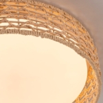 4749-4C, Потолочный светильник, D430xH100, LEDx25W, 1300LM, 3000/4000/6000K, included, remote control — изображение 5