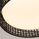 4750-4C, Потолочный светильник, D430xH100, LEDx25W, 1300LM, 3000/4000/6000K, included, remote control — изображение 4