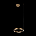 10013S Подвесной светильник LOFT IT Ring — изображение 2