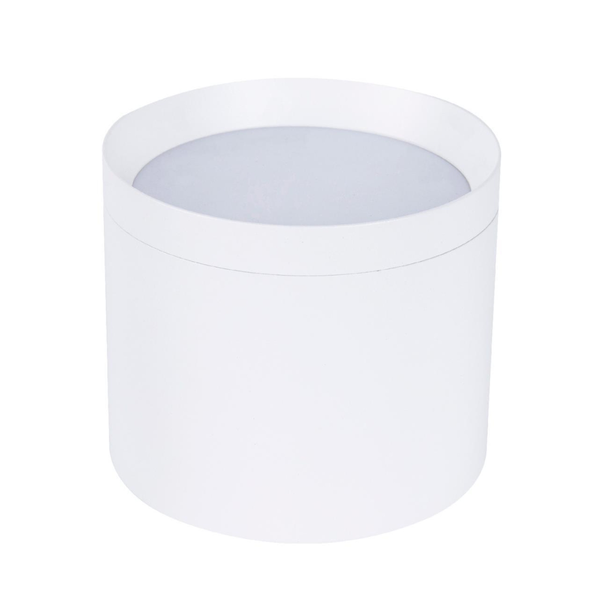 4708-1C, накладной светильник, D82xH73, 1xGX53LEDx15W, IP20, excluded — изображение 1