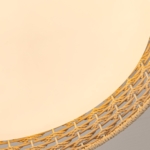 4749-4C, Потолочный светильник, D430xH100, LEDx25W, 1300LM, 3000/4000/6000K, included, remote control — изображение 6