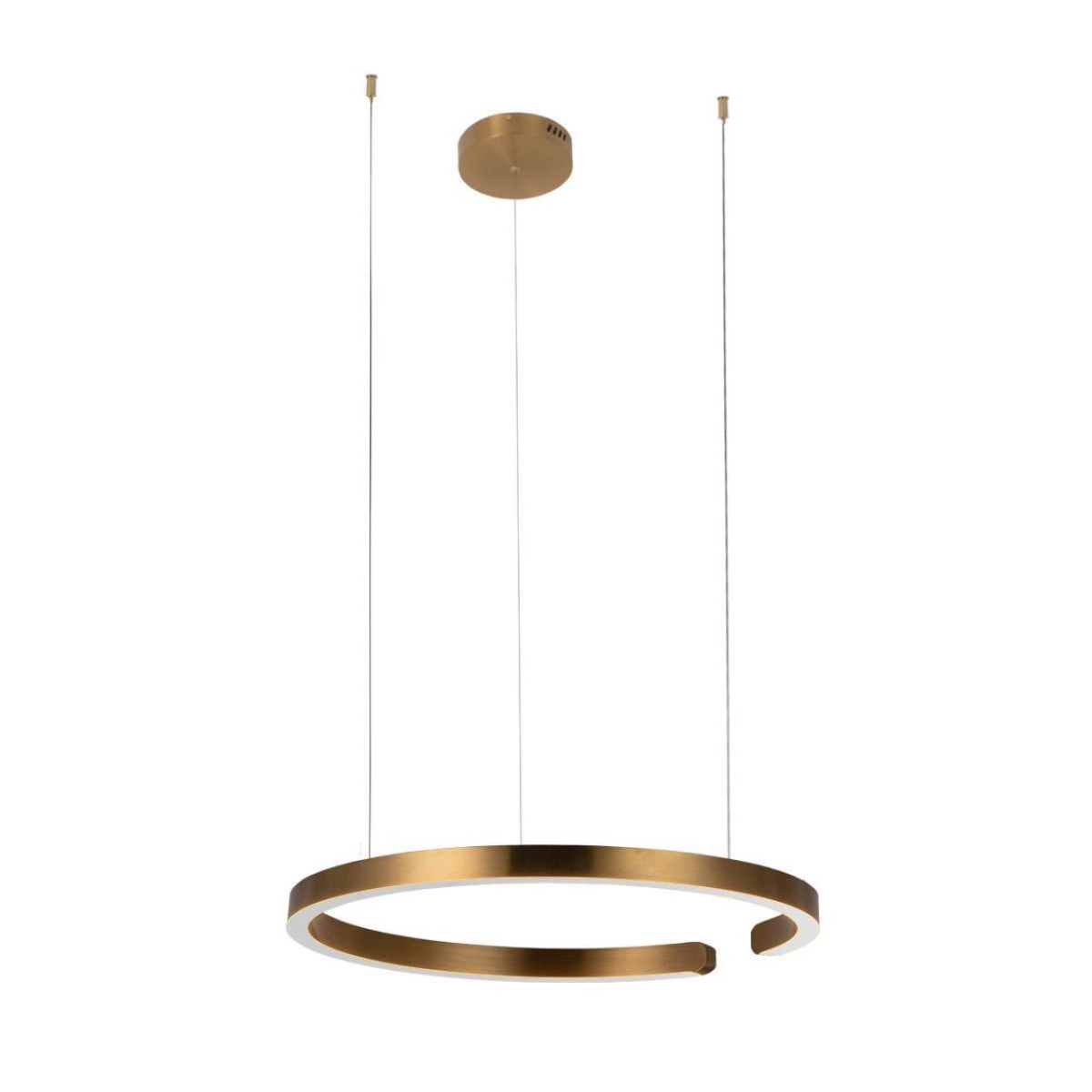 10013L Подвесной светильник LOFT IT Ring — изображение 1