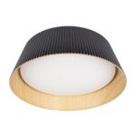 10224 Black Потолочный светильник LOFT IT Evans — изображение 3