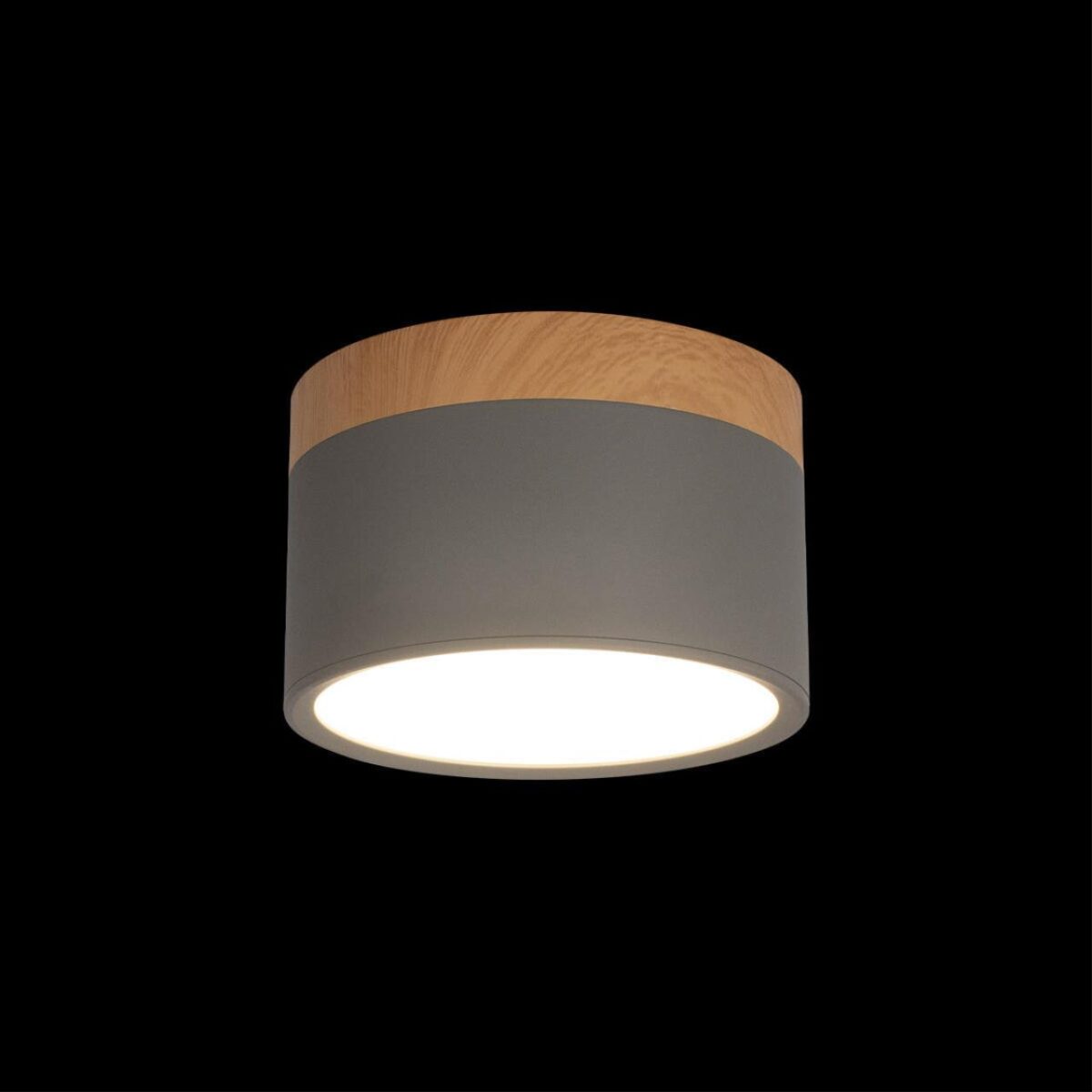 10162 Grey Накладной светильник LOFT IT Grape — изображение 2