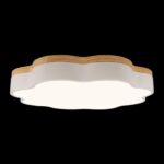 10225/36 White Потолочный светильник LOFT IT Axel — изображение 4