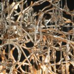 10067/1500 SG Подвесная люстра LOFT IT Bijout — изображение 7