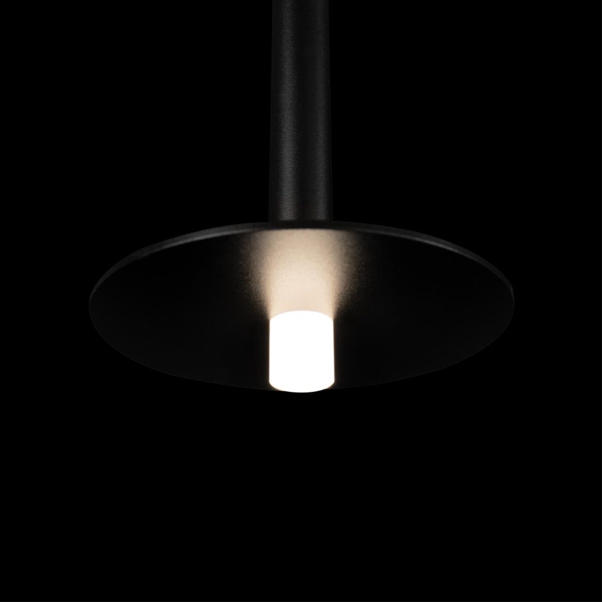 10358/830 Disk Подвесной светильник LOFT IT Reed — изображение 6