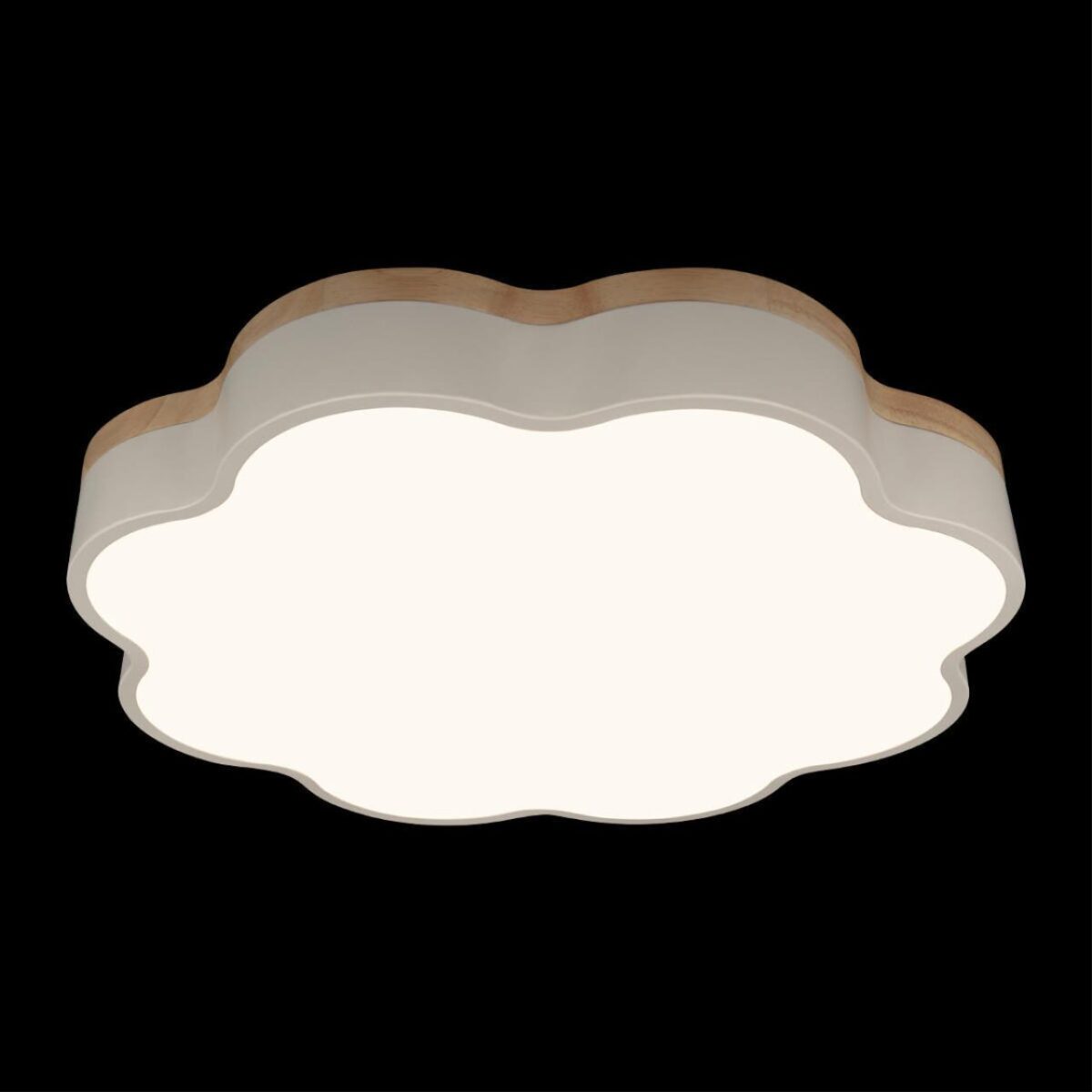 10225/36 White Потолочный светильник LOFT IT Axel — изображение 2