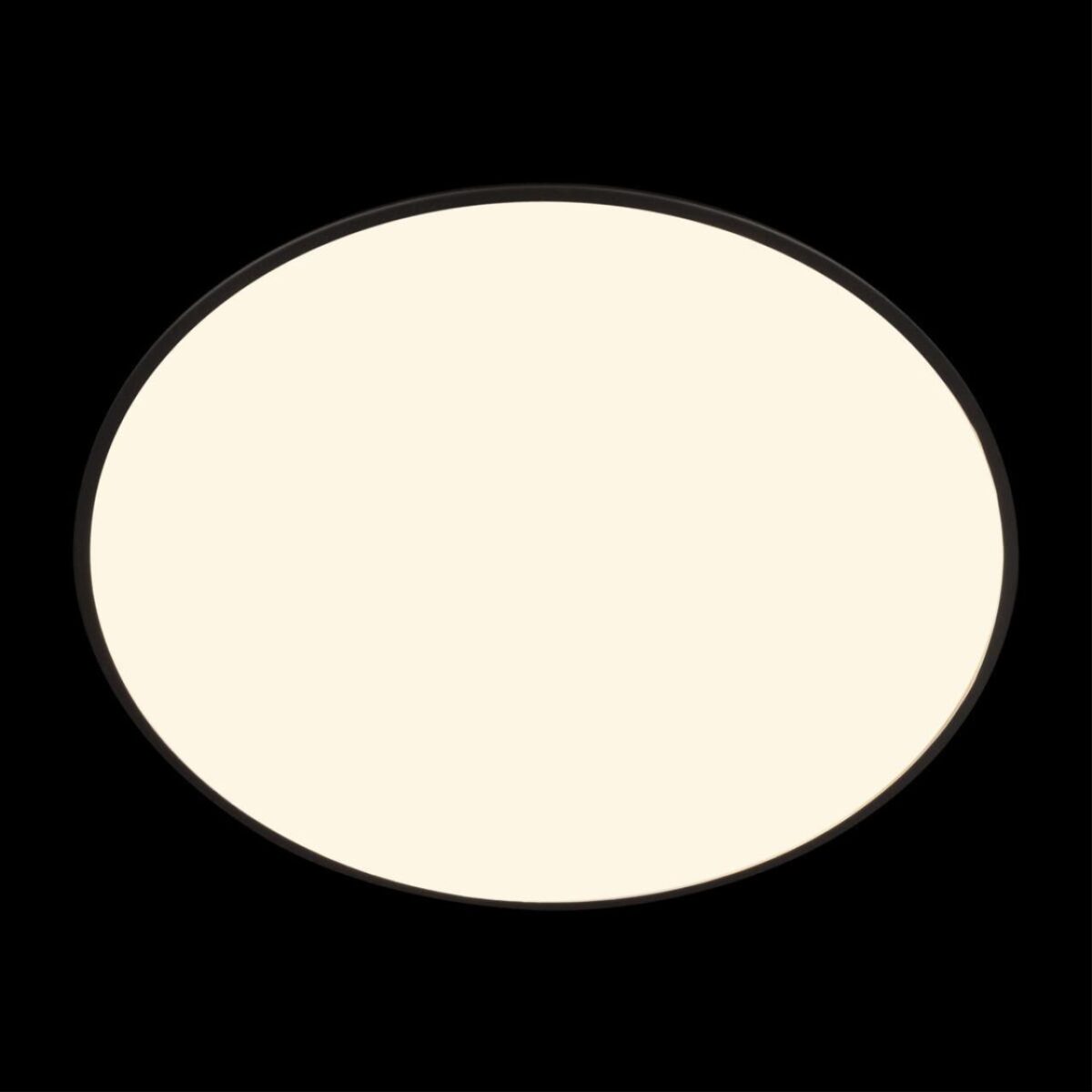 10226 Black Потолочный светильник LOFT IT Brim — изображение 6