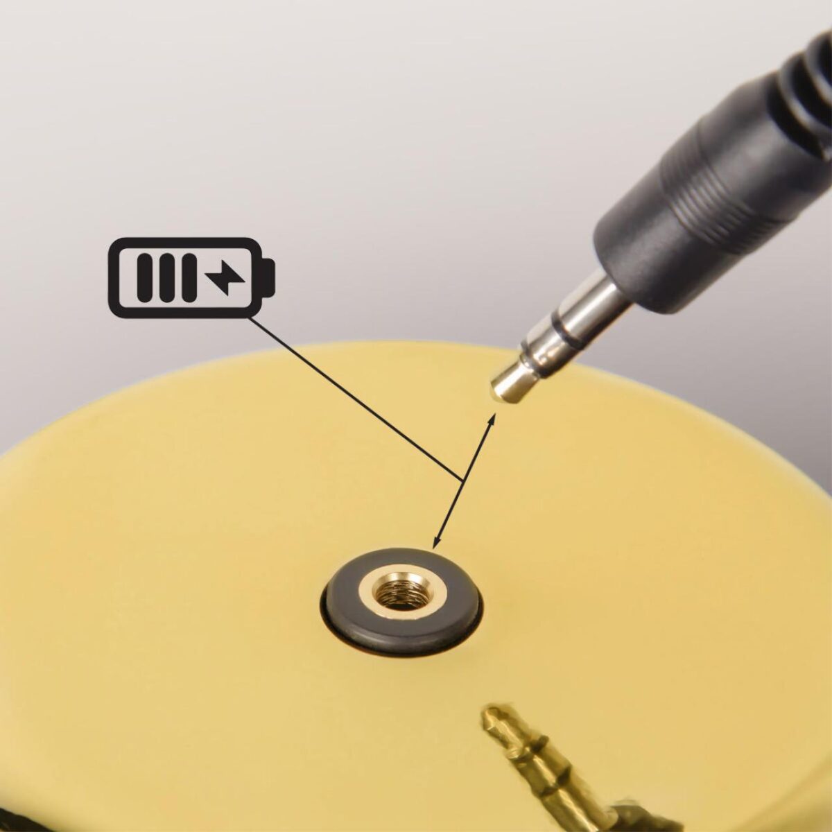 10233/D Gold Настольная лампа LOFT IT Brothers — изображение 9