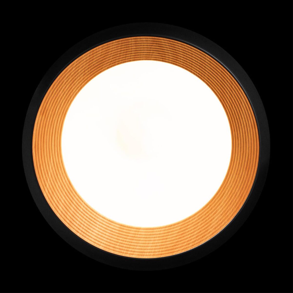 10255/500 Black Потолочный светильник LOFT IT Folk — изображение 3