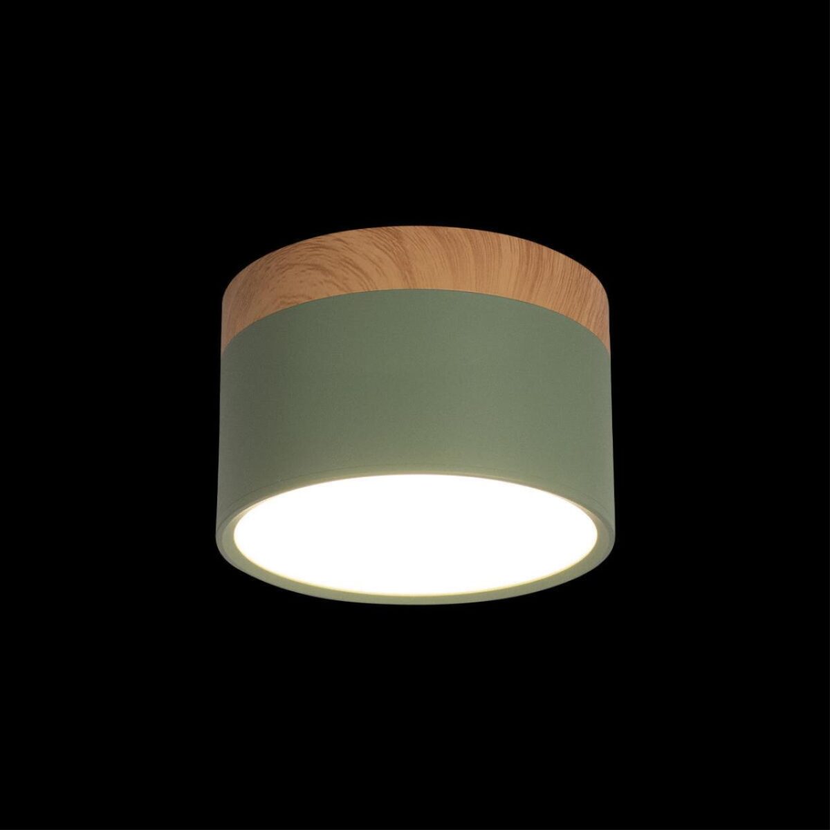 10162 Green Накладной светильник LOFT IT Grape — изображение 2