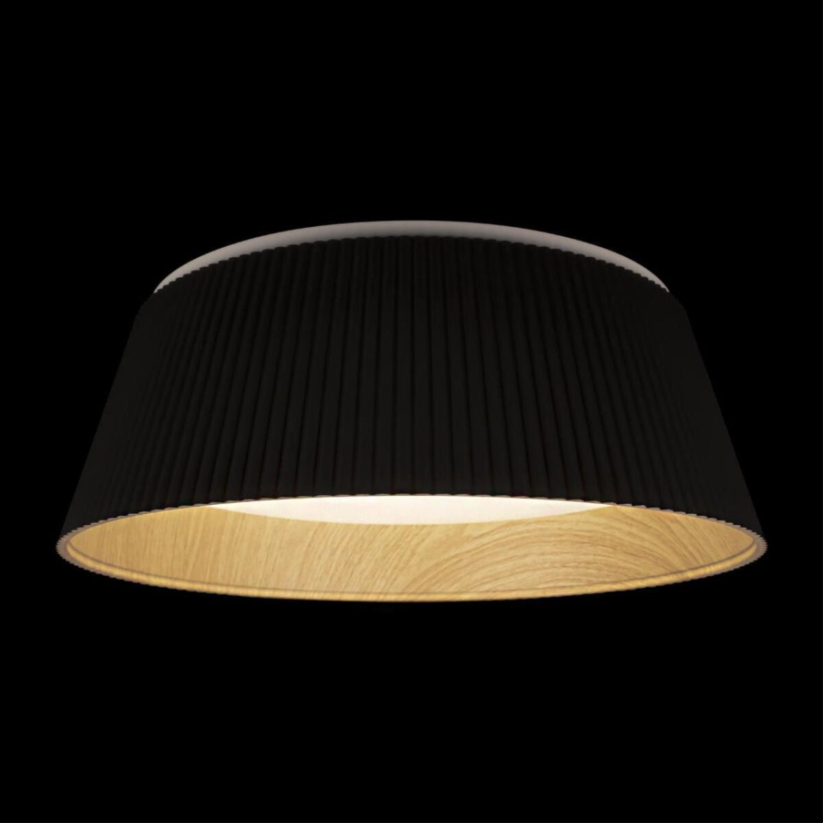 10224 Black Потолочный светильник LOFT IT Evans — изображение 2