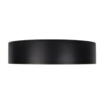 10202 Black Потолочный светильник LOFT IT Coin — изображение 5