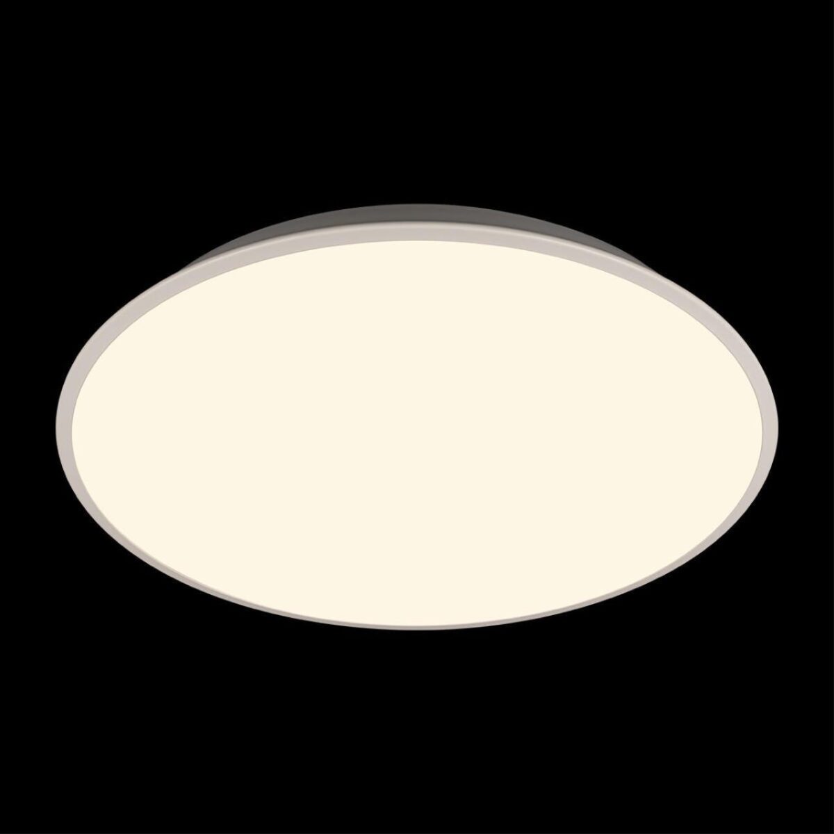 10226 White Потолочный светильник LOFT IT Brim — изображение 4