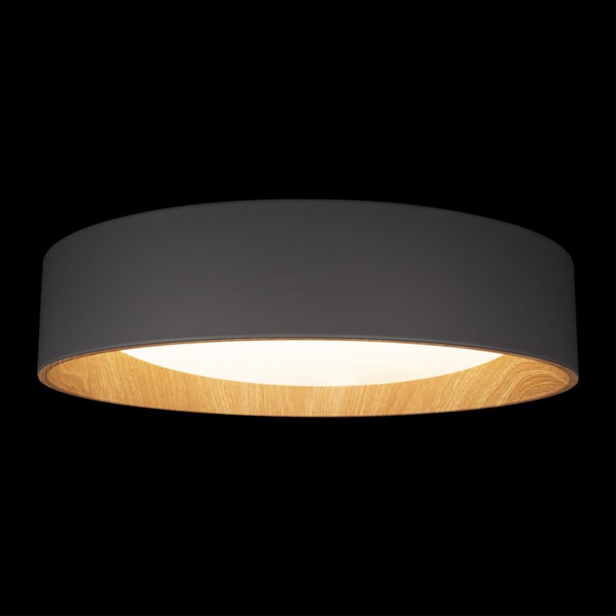 10202 Grey Потолочный светильник LOFT IT Coin — изображение 4