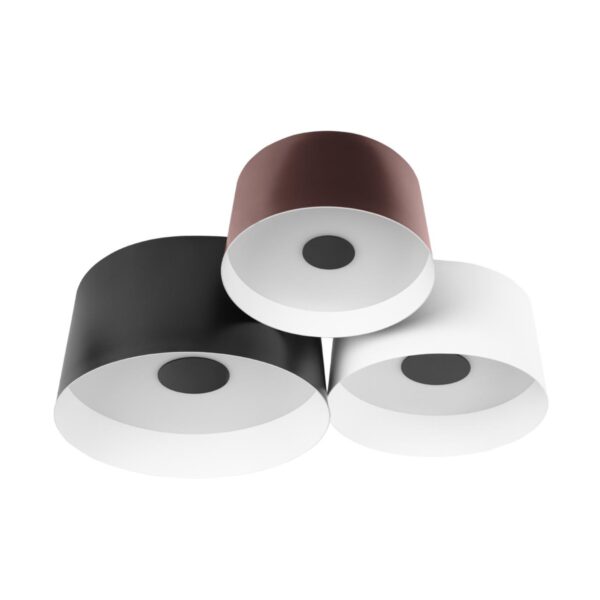 10360/3 Потолочный светильник LOFT IT Duo