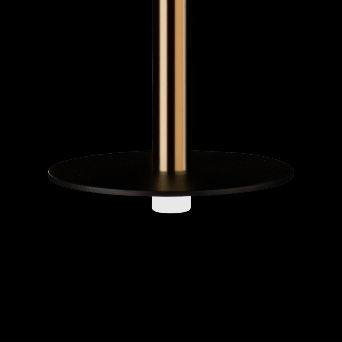 10358/830 Disk AB Подвесной светильник LOFT IT Reed — изображение 8